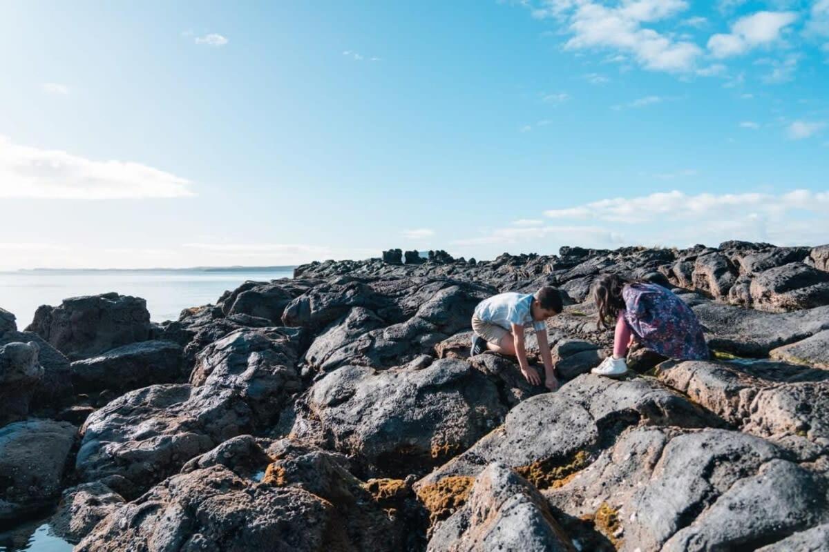 Takapuna Beachfront W Stunning Views Auckland Exteriör bild